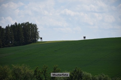 Land- und Forstwirtschaftsflächen in 96250 Ebensfeld