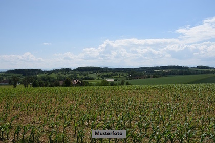 Land- und Forstwirtschaftsflächen in 86899 Landsberg am Lech